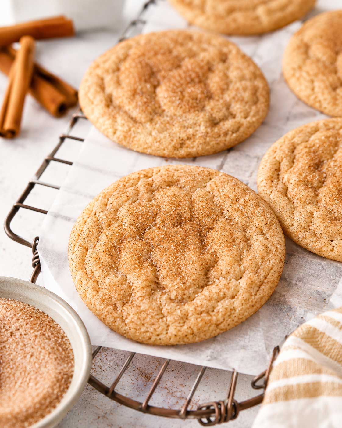 snickerdoodleproductphoto
